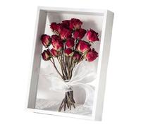 XXHNBF Cadre Photo, Cadre photo en acrylique transparent double face, spécimen de feuille, multicolore, plusieurs tailles