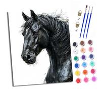 XXHXIE Peinture par Numéros pour Adulte Gros plan de la tête d'un cheval noir Kits de Peinture au Numéro avec pinceaux Peinture de Dessin de Pigment Acrylique Décoration de la Maison 40x50 cm