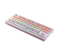 XXINGYULI Clavier de Jeu mécanique sans Fil M87, Couleur Noire Mystique, avec Bluetooth, 3 Modes, lumières rvb remplaçables à Chaud(BABYSBREATH)
