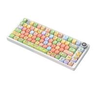 XXINGYULI Clavier mécanique Hi75 RGB, avec Conception en Aluminium et Bouton Multifonctionnel, Accessoire de Jeu Filaire Compatible avec Joueurs sur PC(C)