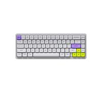XXINGYULI Clavier mécanique sans Fil avec Interrupteur inductif, 2 Modes d'échange à Chaud, Compatible avec Ordinateur Portable de Jeu modèle A67 A83(A67 White)