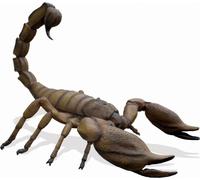 XXL Scorpion 365cm de large Figurine de décoration/publicitaire - GFK - surdimensionné XXL - pour l'extérieur