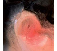 XXL (Xiu Xiu / Larsen) - Puff O'Gigio [Vinyl] [Import]