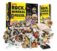 XXTOYS - Kit Pierres et Minéraux de Collection- 250 Geodes et Fossiles Naturelle-Livré avec Vitrine et Sac de Rangement-6 7 8 9 10 Ans