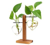 XXXFLOWER Pots de fleurs en bois - Station de propagation de terrarium de bureau - Vase en verre pour la maison, le jardin, le bureau, la décoration des amateurs de plantes - 2 vases à bulbes d'amour