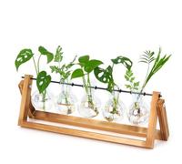XXXFLOWER Station de propagation de bureau en verre avec support en bois et support pivotant en métal pour intérieur, jardin, décoration de mariage (5 ampoules)