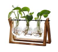 XXXFLOWER Terrarium pour Plantes avec Support en Bois, Vase en Verre et Support pivotant en métal rétro pour Culture hydroponique, décoration de Maison, Jardin, Bureau, Vase à 3 Ampoules