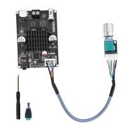 XY-1001W Module d'amplificateur Bluetooth, TWS DC 9-24 V 100 W, carte d'amplificateur audio mono avec carte auxiliaire, USB, Bluetooth, avec potentiomètre externe, pour haut-parleurs, bricolage, home