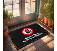 XYBH Paillasson de printemps pour entrée extérieure sans entrée en raison des règles de distanciation sociale. Paillasson d'été, tapis d'extérieur cool pour votre chambre (40 x 60 cm)