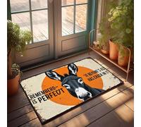XYBH Tapis de porte d'automne pour entrée extérieure, souvenez-vous, la perfection est surfaite. Paillasson d'extérieur cool truc pour garçons (40 x 60 cm)