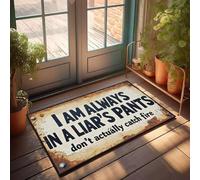 XYBH Tapis de salle de bain amusant « I Am Always In A Liar'S Pants. Don'T Actually Catch Fire ». Paillasson Emo Décoration de chambre à coucher (65 x 90 cm)