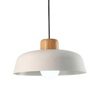 XYBZJP Abat-Jour de Lampe Suspendue en métal de personnalité créative, Lustre de Style Minimaliste américain, Suspension à tête Unique à vis E27, Magasin de vêtements, luminaires décoratifs pour îlot