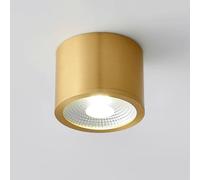 XYHAZCSM Spot en laiton à montage en surface, éclairage d'accentuation moderne for intérieur, plafonniers LED for salon, couloir, allée, galerie, tableaux et mini spots d'accentuation(Medium)