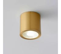 XYHAZCSM Spot en laiton à montage en surface, éclairage d'accentuation moderne for intérieur, plafonniers LED for salon, couloir, allée, galerie, tableaux et mini spots d'accentuation(Small)