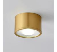 XYHAZCSM Spot en laiton à montage en surface, éclairage d'accentuation moderne for intérieur, plafonniers LED for salon, couloir, allée, galerie, tableaux et mini spots d'accentuation(Large)