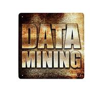 XYHH 6 Data Mining - Texte en métal 3D sur fond rouille - Décoration murale vintage rétro pour maison, garage, bar, pub - 30 x 30 cm