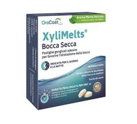 XyliMelts Bouche Sèche Menthe Douce 40comp