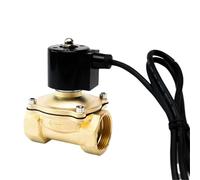 XYRGPQYI Électrovanne Submersible normalement fermée en Laiton de 2 Pouces, étanche IP68, 110 V, 24 V, 12 V, 24 V(G_12VDC)