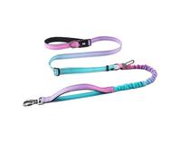 XYRTHSKO Compatible avec Les laisses antidéflagrantes for Animaux de Compagnie en Gros, la Course à bandoulière, libérez Vos Mains, Votre Chien et Ceintures(Cyan Gradient)