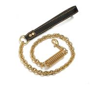 XYRTHSKO Corde de Traction for Chien en Acier Inoxydable doré avec Ressort Tampon, Laisse antidéflagrante for Animaux Compagnie, Compatible Les Grands Chiens, Pitbull, Doberman, Bully(Gold)