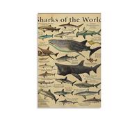 XYSWDD Poster rétro Sharks Of The World - Impression sur toile pour chambre d'adolescents et de garçons - 30 x 45 cm