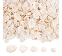 Xyvor Lot de 150 Coquillage Decoration Blanches, 1.5-3 Cm pour Coquillages Naturels, Coquilles Saint Jacques, Petits Coquillages pour Décoration De Bricolage, Aquariums, Vases, Fabrication De Bijoux