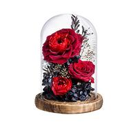 XYXH Rose Eternelle sous Cloche, Enchanted Rose, Fleurs Immortelles Haut de Gamme, Multicolore, pour Une Ddemande en Mariage, Une Fête Romantique