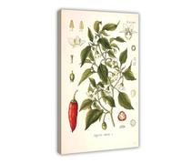 XZGTHYTYUY Poster sur toile 73 piment poivron doux et poivron annuel pour décoration de chambre à coucher, bureau, chambre, cadeau (60 x 90 cm)