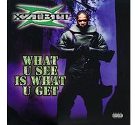 Xzibit - What U See Is What U Get