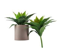 XZJMY Lot de 2 plantes d'agave artificielles résistantes aux UV pour décoration de maison, bureau, magasin (vert)