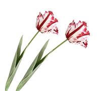 XZJMY Lot de 2 tulipes artificielles en soie pour décoration de maison, bureau - 69,1 cm (rouge)