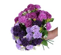 XZJMY Lot de 4 fleurs d'œillets artificielles, 48 têtes d'œillets en soie pour extérieur, résistantes aux UV, ne se décolorent pas, pour accessoires photo, décoration de maison, de fête et de mariage