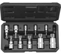 XZN Jeu de clés à douilles à trois carrés Spline Bit 10 pces M4-M18