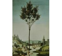 XZSFD NBGEA Affiche de Sandro Botticelli Œuvre murale rétro《 Annonciation du Cestello》 par Sandro Botticelli Estampes Peinture en couleur sur toile pour la déco intérieure 40x60cm Non encadrée