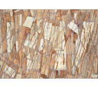 XZSFD NBGEA Affiche Tamara De Lempicka Tableau mural abstrait 《Earth》 par Tamara De Lempicka Peinture en couleur sur toile pour décoration intérieure 70x50cm Non encadrée