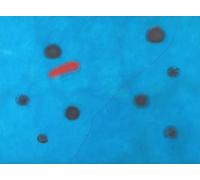 XZSFD NBGEA célèbre Joan Miro affiche Impressions en couleur Abstrait Photo d’art mural《Bleu et rouge》Joan Miro Points Peinture sur toile pour la décoration intérieure 50x70cm Non encadré