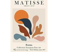 XZSFD NBGEA Henri Matisse Affiche Impressions En Couleur Abstrait Art Mural Image《Corail Et Soleil》Henri Matisse Découpe Peinture Sur Toile Pour La Maison 50x60cm Non Encadré