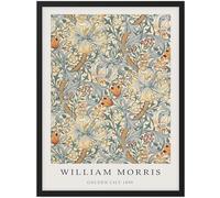 XZSFD NBGEA William Morris Golden Lily 1899 Affiche Vintage Art Mural Fleur Plante Toile Peinture William Morris Impressions Pour Décoration Intérieure Photo 50x70cm Non Encadré