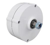 XZXCVN Alternateur Triphasé 12V Compact, Générateur Magnétique Permanent 100W, Portable et Efficace - Technologie Synchrone, Économie d'Énergie, Usage Domestique (200W)