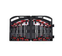 XZXCVN Clé Allen à T - poignée 16 pcs, En Acier Chrome - Vanadium, Bille Hexagonale et Etoile, 8 Clés Six Pans et 8 Clés Torx - Poignée Ergonomique, Résistance Elevée, Usage Automobile