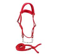 XZXCVN Licol Éthologique Cheval, Licol Rouge Réglable en PP avec Mors Amovible et Coussin Épais - Confort Optimal, Résistance Accrue, Adapté Chevaux 1,4-1,65m