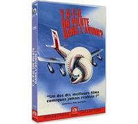 Y-a-t-il un pilote dans l'avion? E