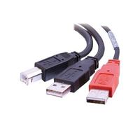 "Y" Cable - Câble USB - USB type B (M) pour USB, USB (alimentation uniquement) (M) - USB 2.0 - moulé