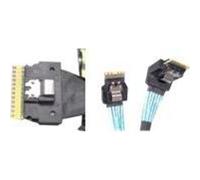 Y Intel Cable Kit 2u 1x Slimsas To 1x Slimsas (straight) 1x Sff8654 8