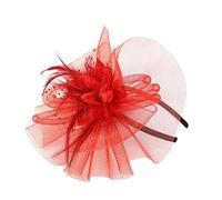 Y Pen Rubans Mesh Femmes Chapeau et Plumes Mode Mariage Bibi N Party Caps Bonnet Lavable, Rouge, Taille unique