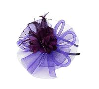 Y Pen Rubans Mesh Femmes Chapeau et Plumes Mode Mariage Bibi N Party Casquettes de baseball Hommes Profil bas, violet, Taille unique