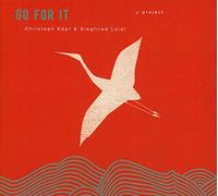 Y-Project-Christoph Köpf & Siegfried Loidl - Go for It