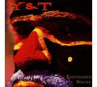 Y & T - Endangered Species [Import]