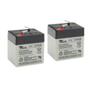 Y1-6 Batterie 6.0 Volts 1.0Ah Pack 2 pcs Plomb