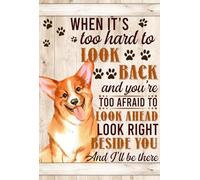 YAASIMOULE Décoration murale Skitongift, décoration d'intérieur, décoration de chambre quand il est trop difficile de regarder en arrière et que vous avez trop peur de regarder en avant Corgi
